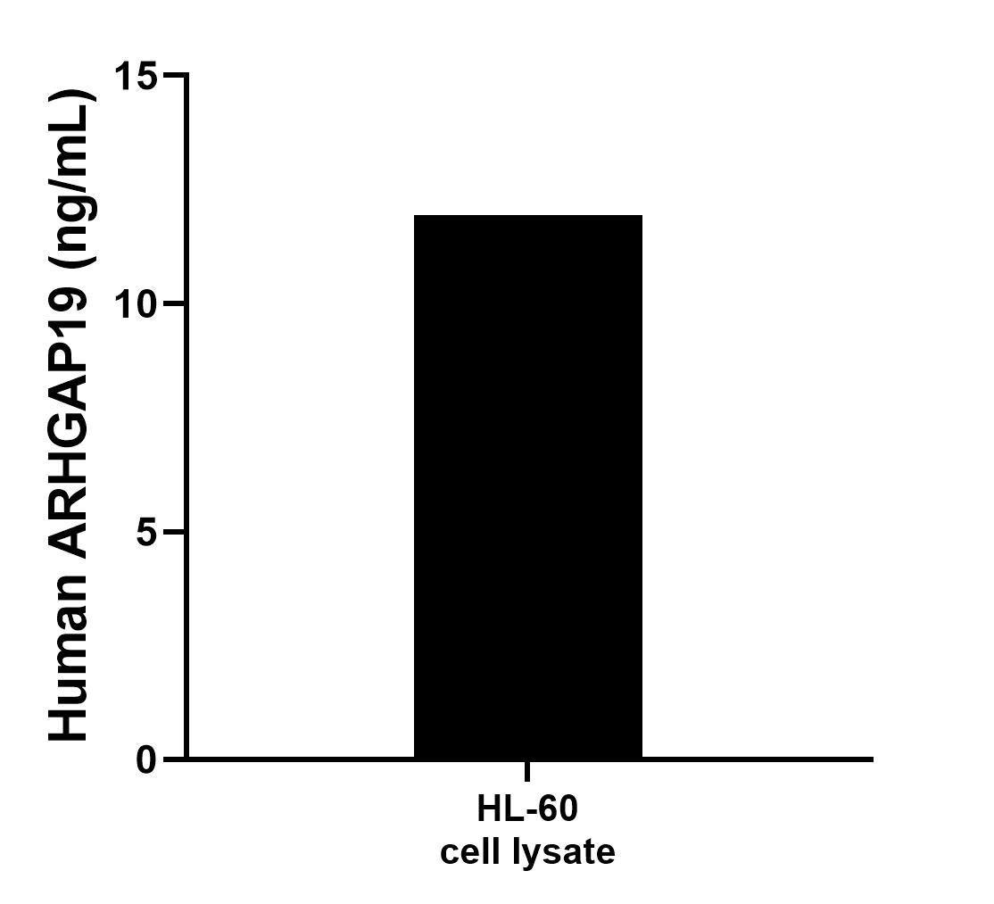 Sample test of MP00937-1